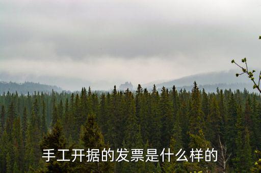 手工開據的發票是什么樣的