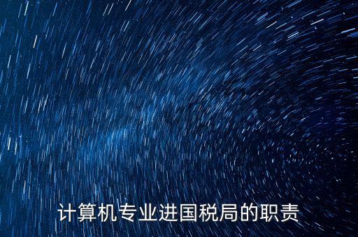 計算機專業進國稅局的職責