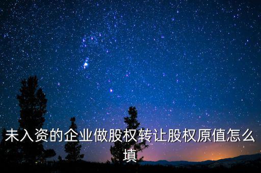 未入資的企業做股權轉讓股權原值怎么填