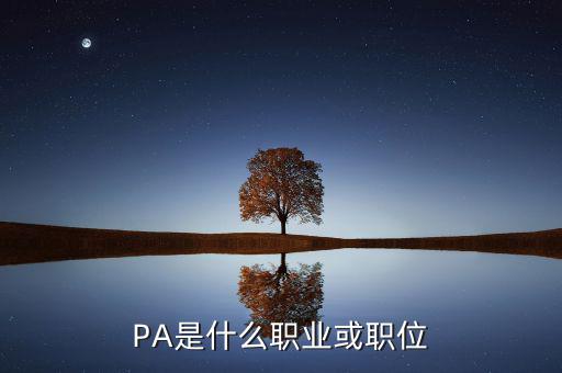 河南省國稅局陳紅偉什么職務，PA是什么職業或職位