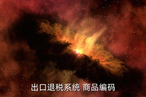出口退稅系統 商品編碼