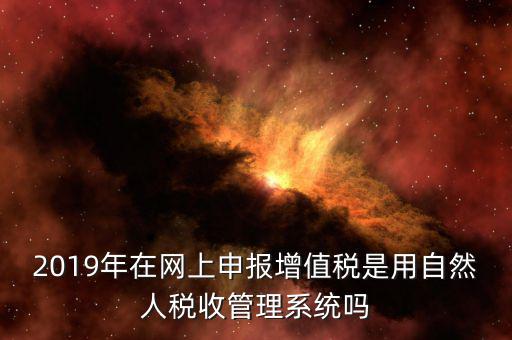 什么是增值稅管理系統，2019年在網上申報增值稅是用自然人稅收管理系統嗎