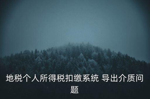 地稅個人所得稅扣繳系統 導出介質問題