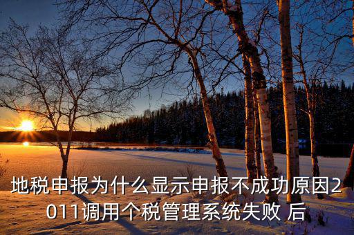 地稅申報為什么顯示申報不成功原因2011調用個稅管理系統失敗 后