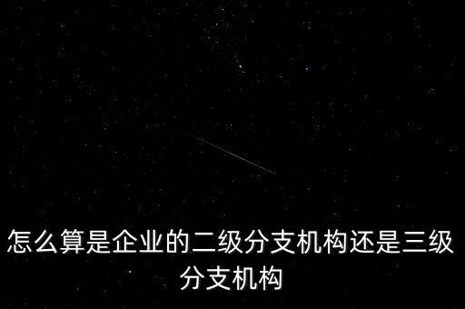 什么叫企業二級分支機構，現在分公司要辦稅務登記證但是我想問一下二級分機構指的是
