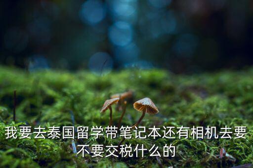泰國什么人需要納稅，我要去泰國留學帶筆記本還有相機去要不要交稅什么的