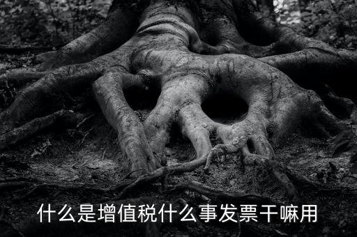 什么是增值發票，什么是增值發票