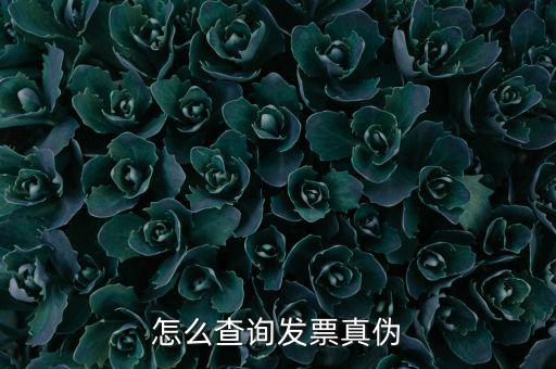 怎么查詢發票真偽