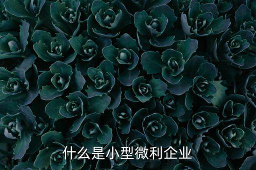 什么是小型微利企業