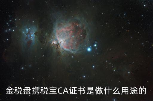 稅友的ca是什么，什么是稅務(wù)局的CA證書(shū)