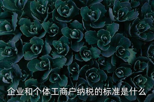 企業和個體工商戶納稅的標準是什么