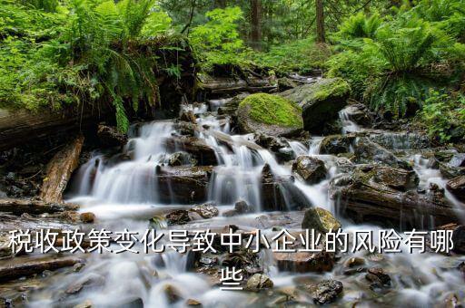 稅收政策變化導致中小企業的風險有哪些