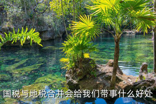 國(guó)稅地稅合作有什么意見(jiàn)，國(guó)稅地稅合并有何重要意義