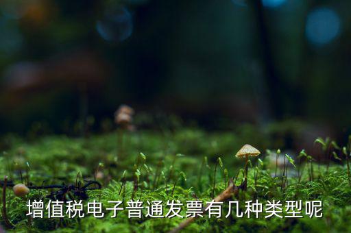 普通發票有什么種類，發票分幾種