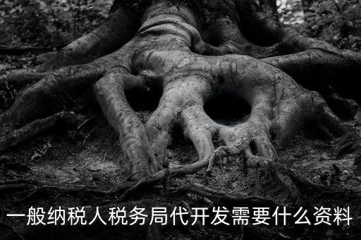 一般納稅人稅務局代開發需要什么資料