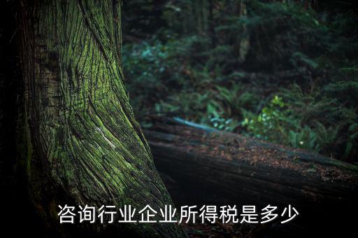 咨詢行業企業所得稅是多少