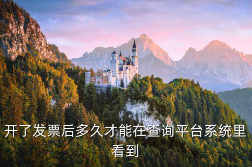 勾選平臺什么時候可以查到發票，已經開具的專用發票多久才能在勾選平臺中查到