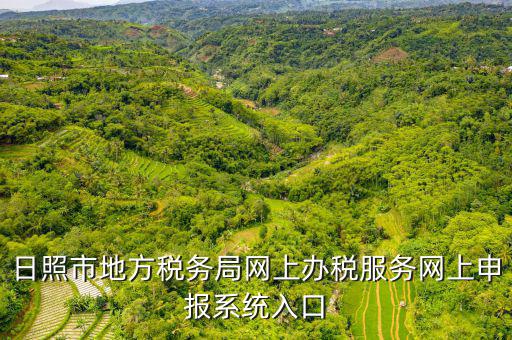 日照報稅的網址是什么意思，網上報稅在哪個網站