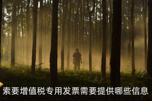 專用發票需要什么信息，現在開取增值稅專用發票需要什么資料