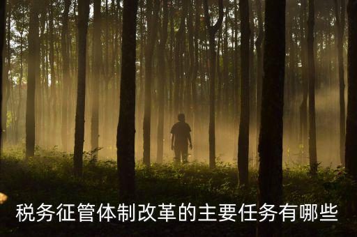 稅務系統的業務改革都有什么，稅務征管體制改革的主要任務有哪些