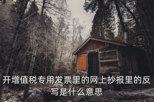 開增值稅專用發票里的網上抄報里的反寫是什么意思