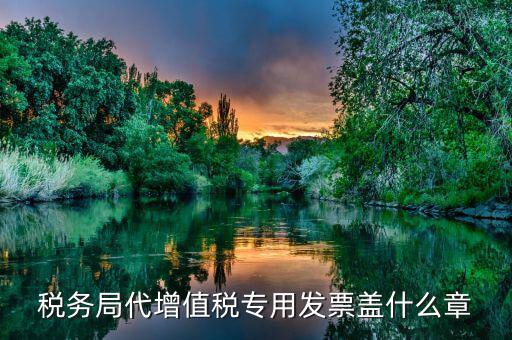 稅務局代增值稅專用發票蓋什么章