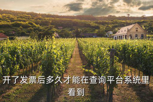 開了發票后多久才能在查詢平臺系統里看到
