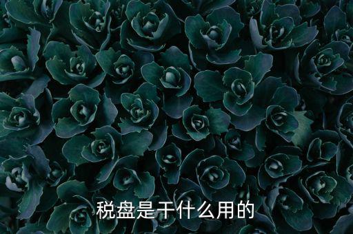 為什么要買(mǎi)金稅盤(pán)，稅控盤(pán)是一定要買(mǎi)的嗎