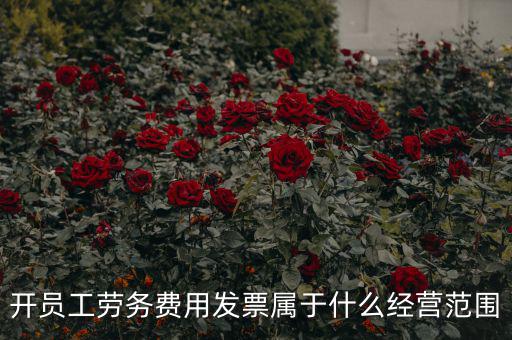 開員工勞務費用發票屬于什么經營范圍