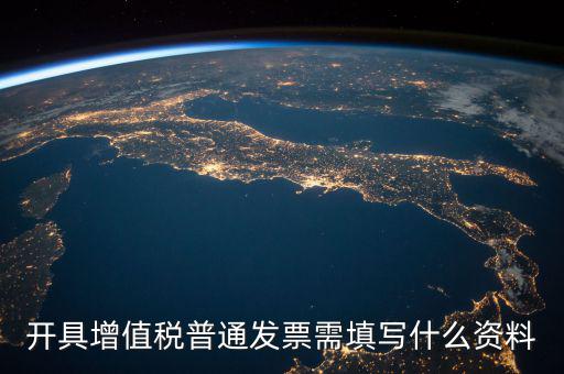 開具增值稅普通發票需填寫什么資料
