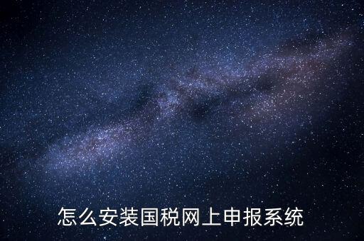 南陽國稅申報需要下載什么系統，怎么安裝國稅網上申報系統