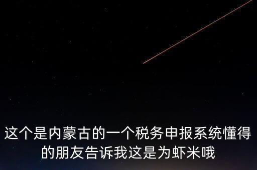 這個是內蒙古的一個稅務申報系統懂得的朋友告訴我這是為蝦米哦