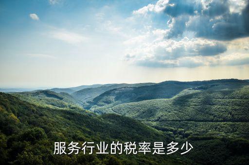服務行業的稅率是多少