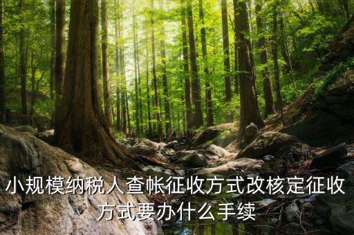 小規模納稅人查帳征收方式改核定征收方式要辦什么手續