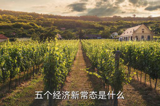 五個經濟新常態是什么