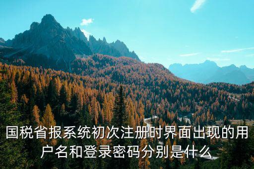 河南省國稅申報系統帳號是什么，請問國稅申報用戶號是什么密碼又是什么