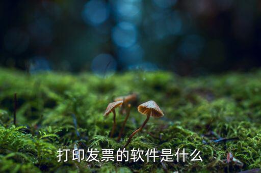 p發(fā)票用什么軟件，我想p一下發(fā)票的內(nèi)容要哪個(gè)軟件好