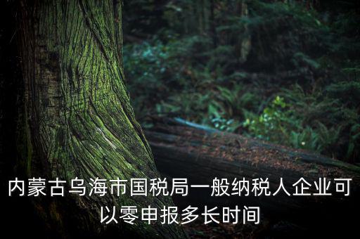 內蒙古烏海市國稅局一般納稅人企業可以零申報多長時間