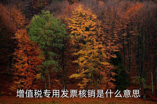 增值稅專用發票核銷是什么意思