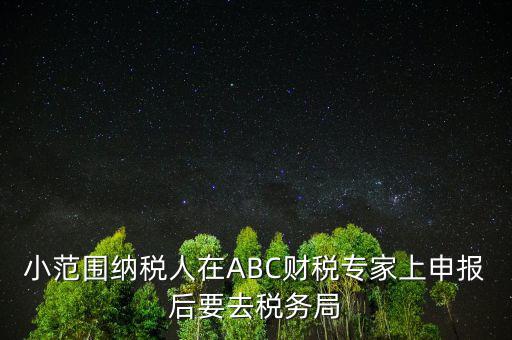 財稅專家是報什么稅，小范圍納稅人在ABC財稅專家上申報后要去稅務局