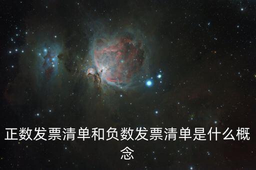 正數發票清單和負數發票清單是什么概念