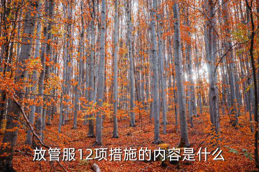 放管服12項措施的內容是什么