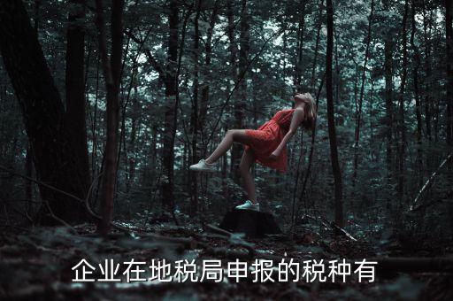 企業在地稅局申報的稅種有