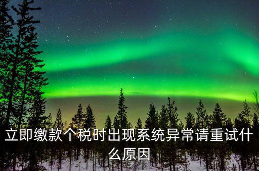 銀聯在線繳稅異常是什么原因，立即繳款個稅時出現系統異常請重試什么原因