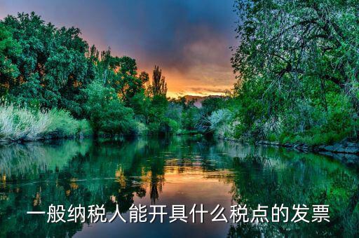 一般納稅人能開具什么稅點的發票