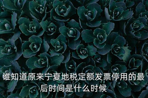 地稅的發票什么時候不能用，誰知道原來寧夏地稅定額發票停用的最后時間是什么時候