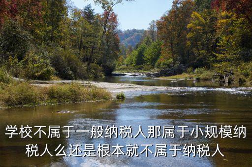 學校不屬于一般納稅人那屬于小規模納稅人么還是根本就不屬于納稅人