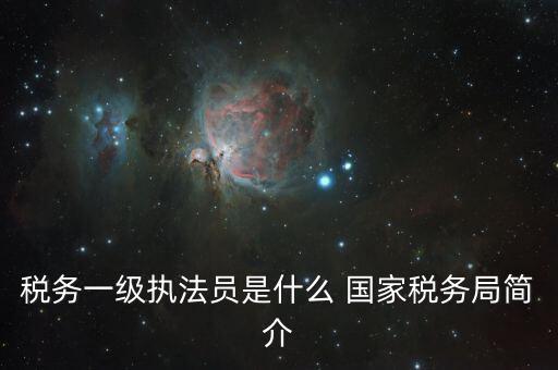 稅務一級執法員是什么 國家稅務局簡介