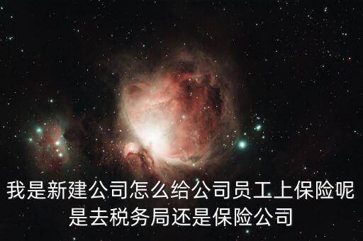 稅務(wù)局保險是什么，稅務(wù)局讓企業(yè)交得規(guī)費和參保費是什么