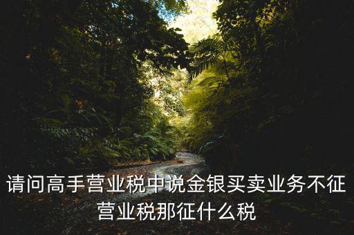 請問高手營業稅中說金銀買賣業務不征營業稅那征什么稅